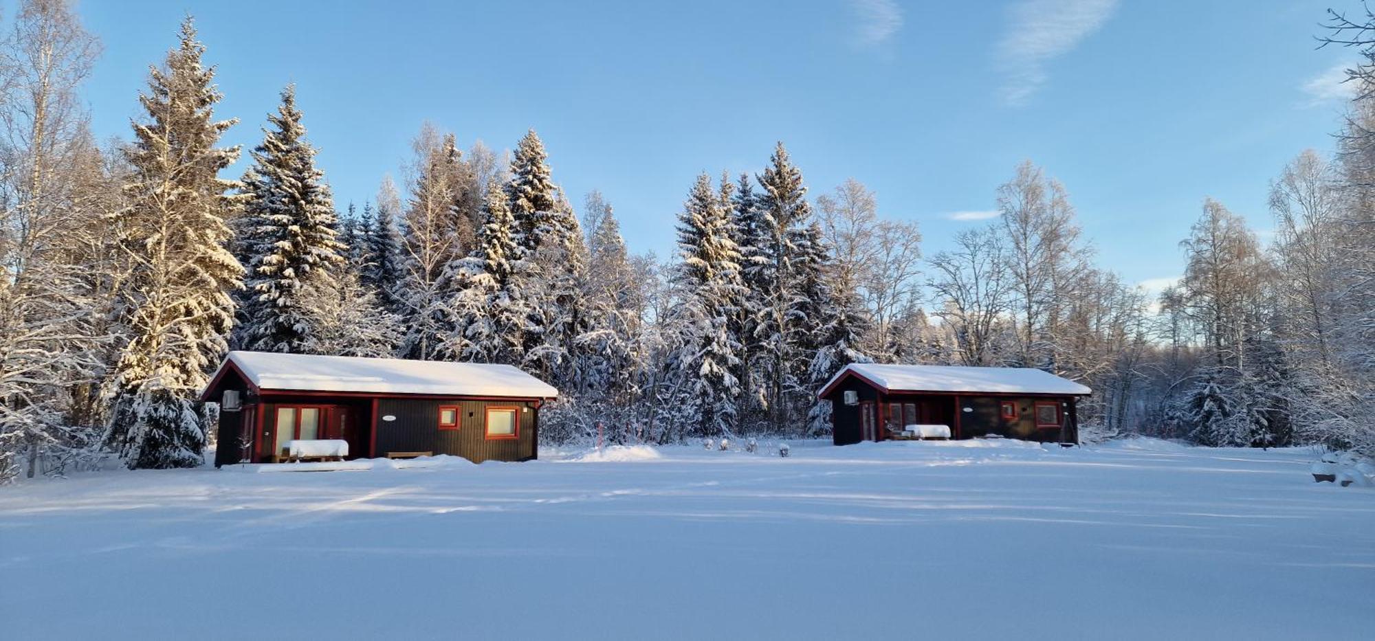 Nygard Cabins - Brandnew, Fully Equipped Home In Nature Суне Екстериор снимка