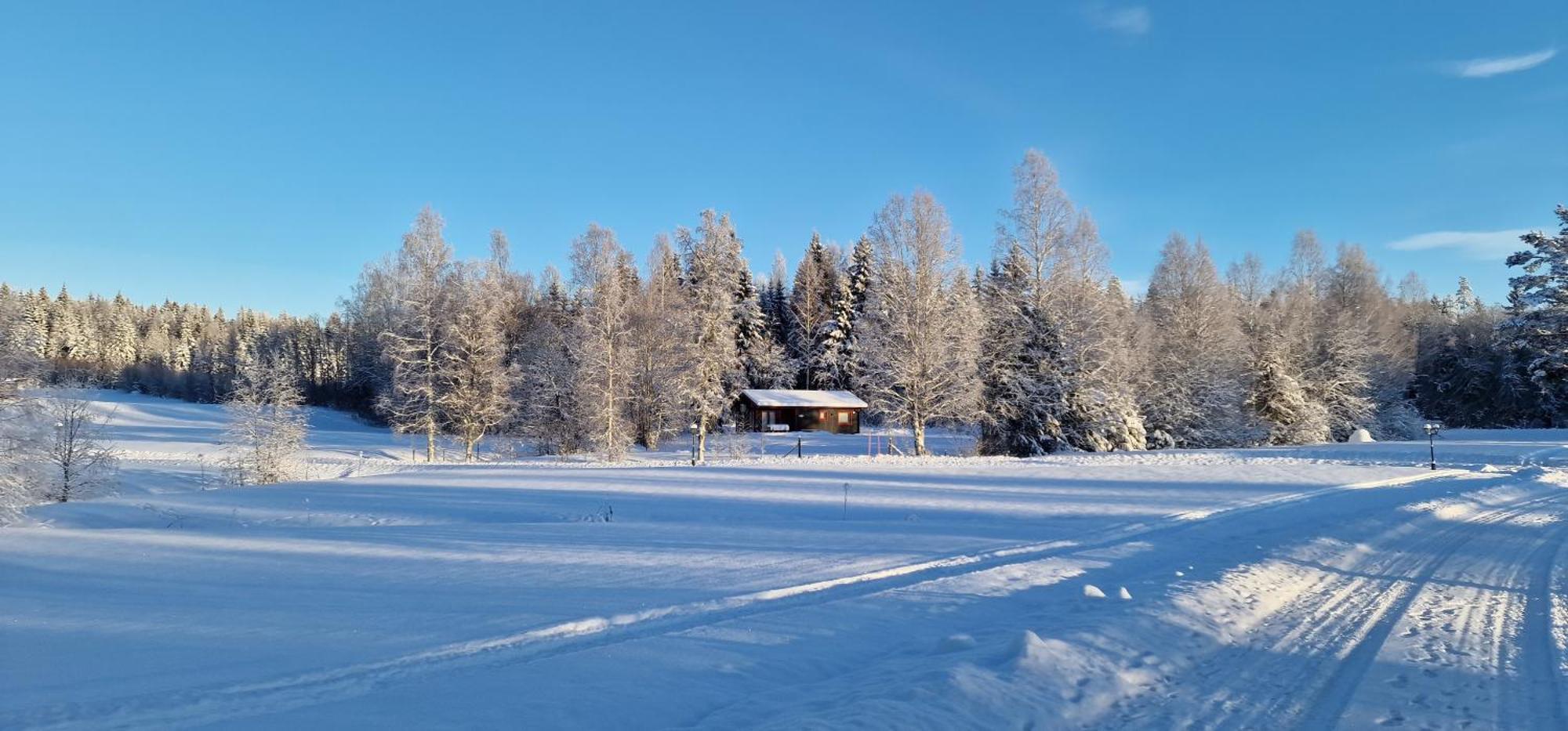 Nygard Cabins - Brandnew, Fully Equipped Home In Nature Суне Екстериор снимка